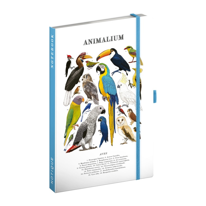 Notes Animalium – Vtáky
