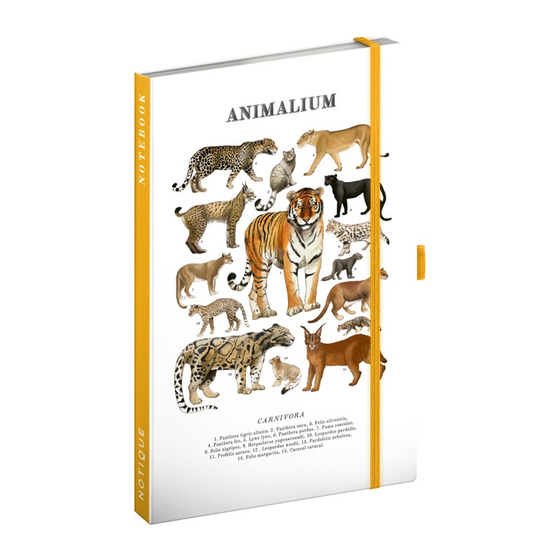 Notes Animalium – Mačkovité šelmy