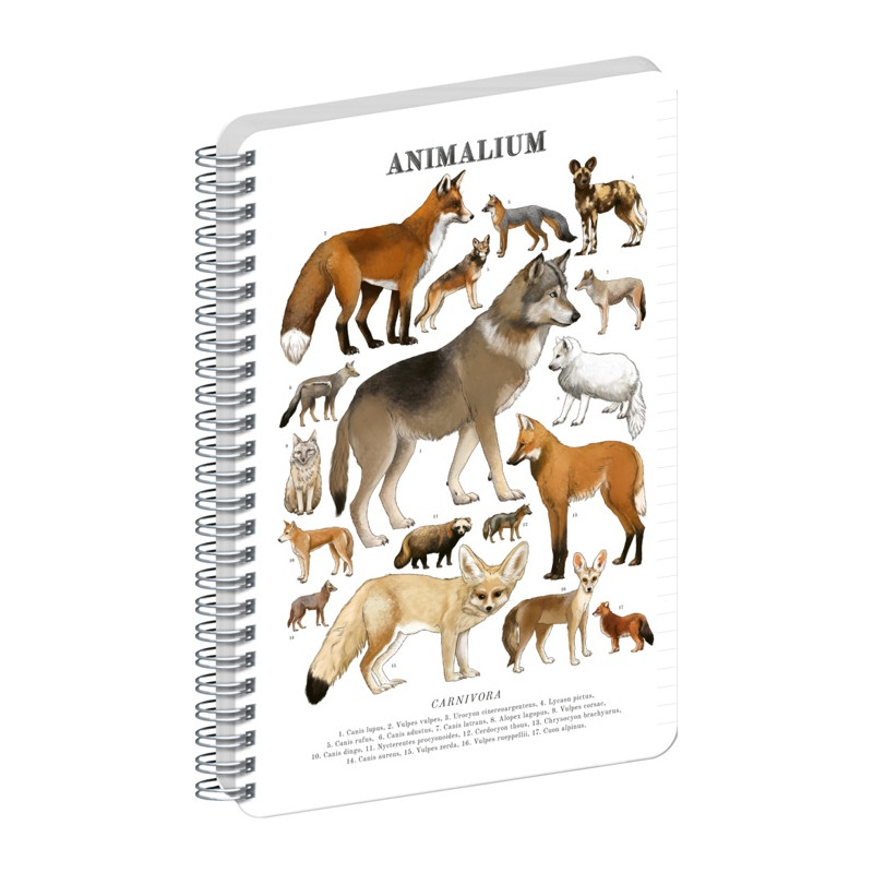 Blok Animalium – Psovité šelmy