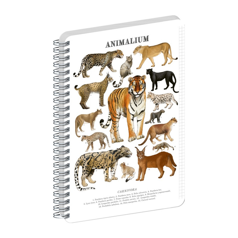 Blok Animalium Mačkovité šelmy