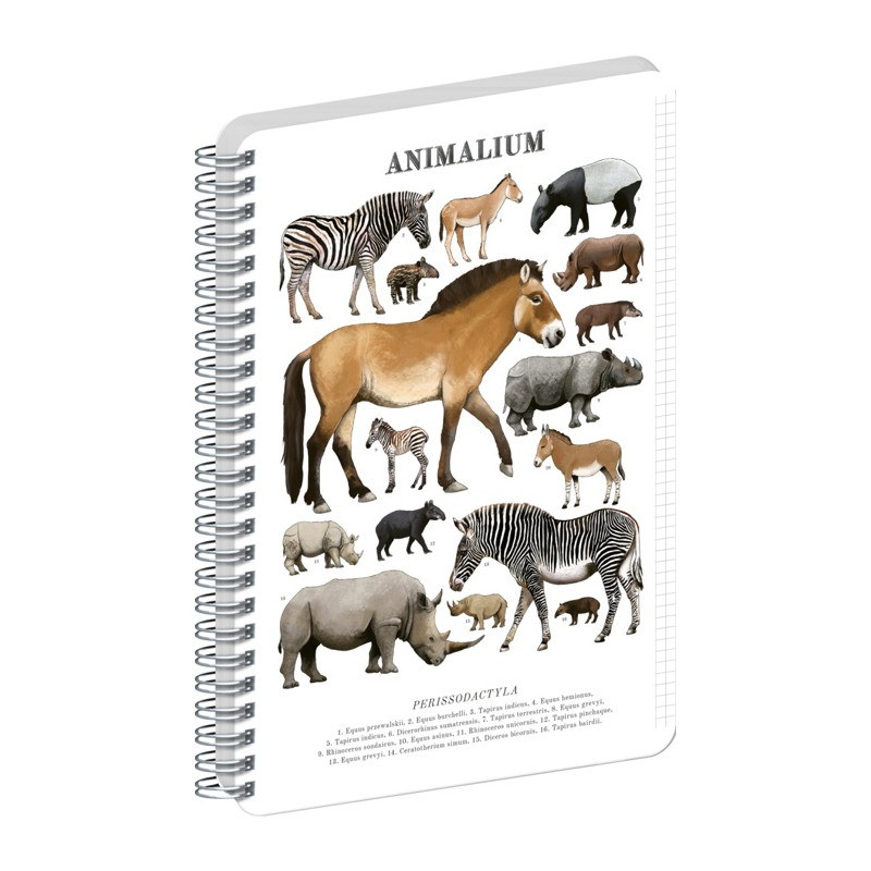 Blok Animalium Nepárnokopytníky