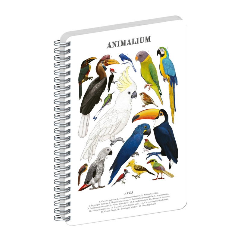 Blok Animalium – Vtáky