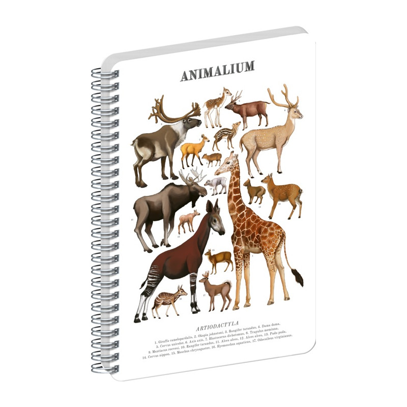 Blok Animalium – Párnokopytníky
