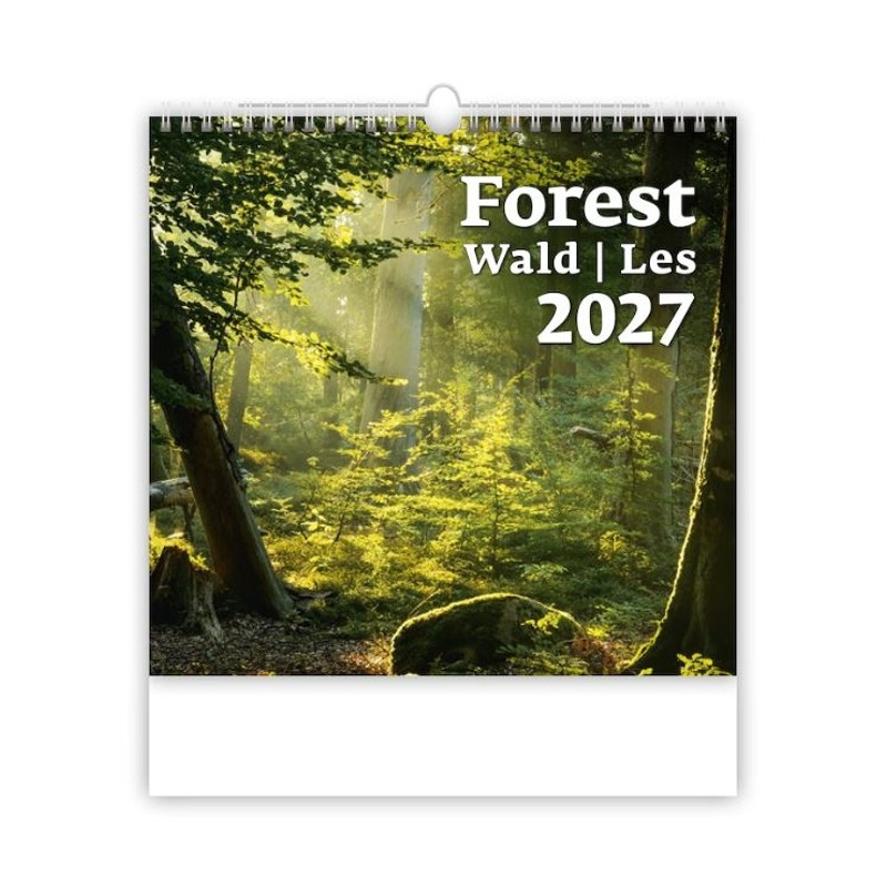 Nástenný Forest/Wald/Les