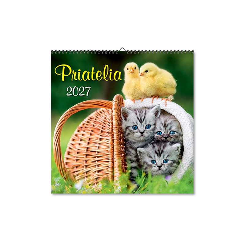 Nástenný štvorec Priatelia