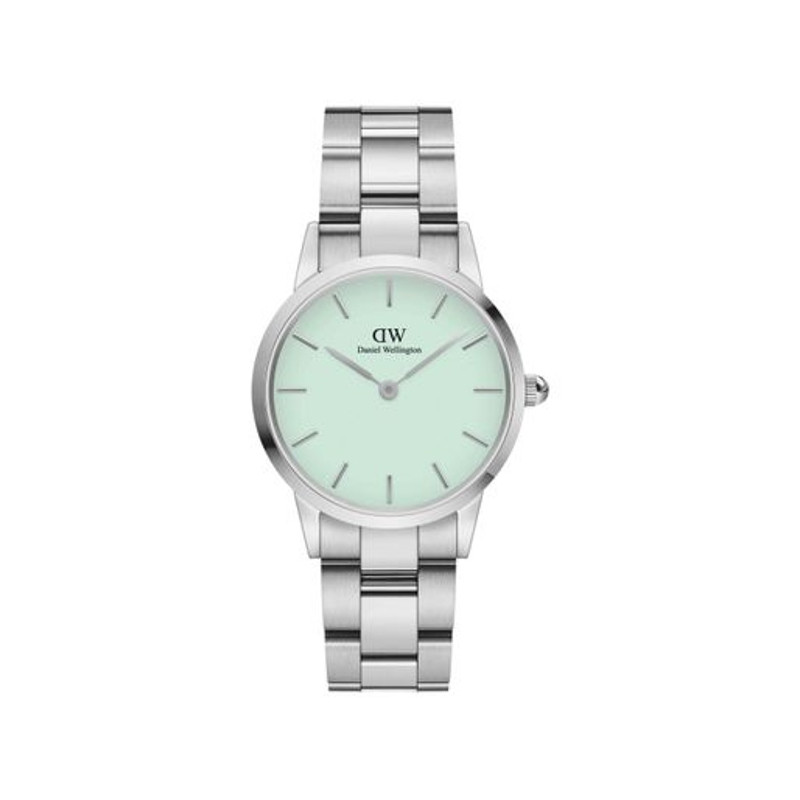 Hodinky Iconic Link (D28)